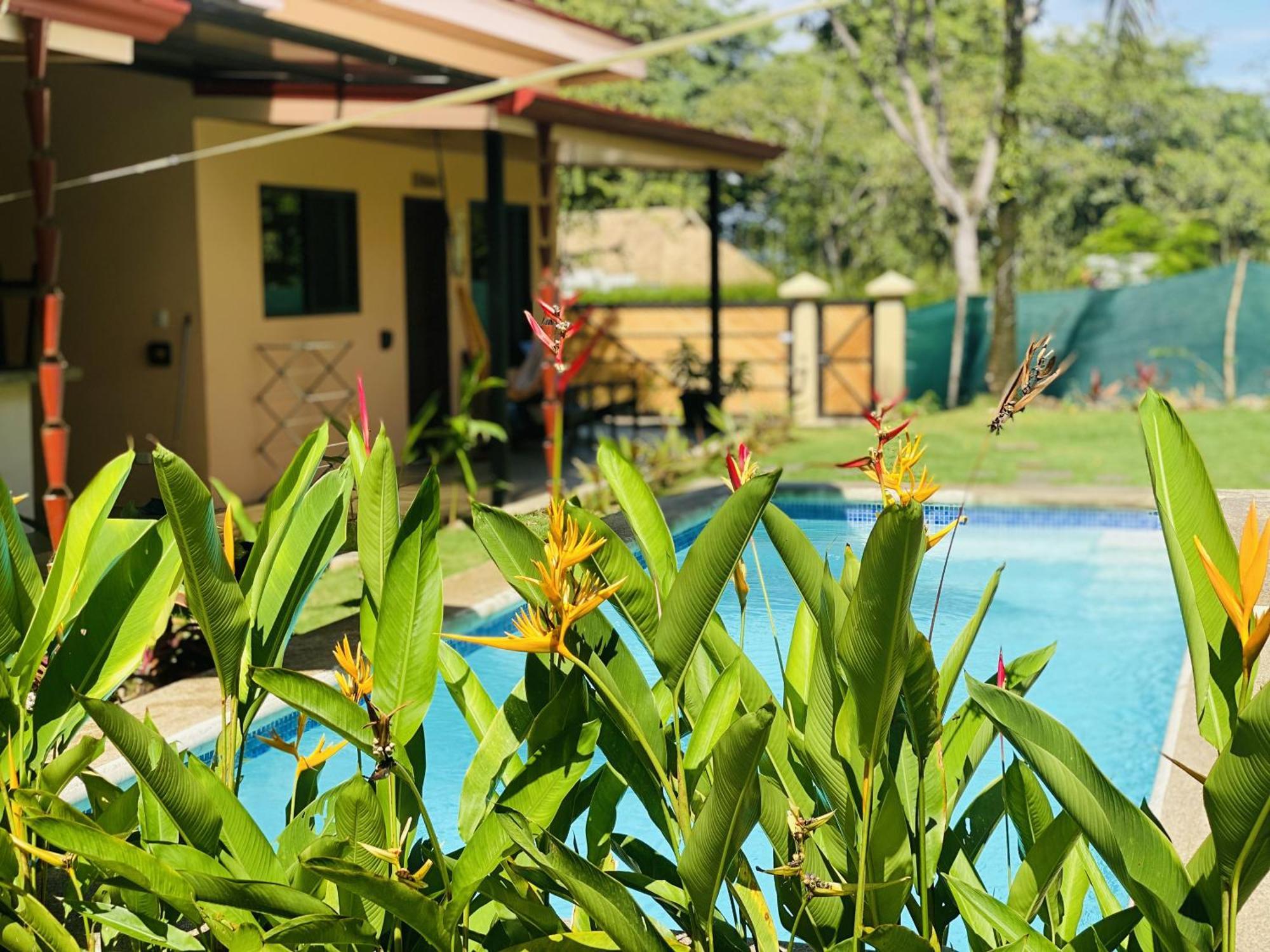 Brahman Bungalows On Pavones Point Chambre photo